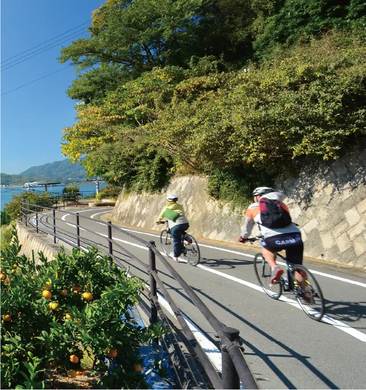 しまなみエリア（CYCLING & ADVENTURE）